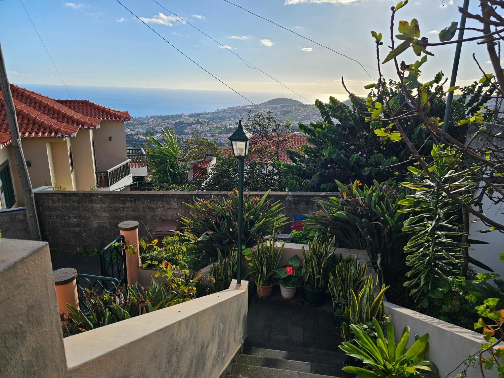 Casa De Feria Do Livramento Villa Funchal  Exterior photo